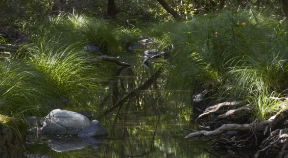 Cascade creek photo